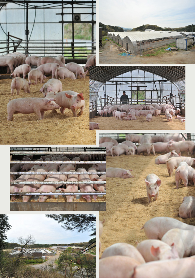 farm